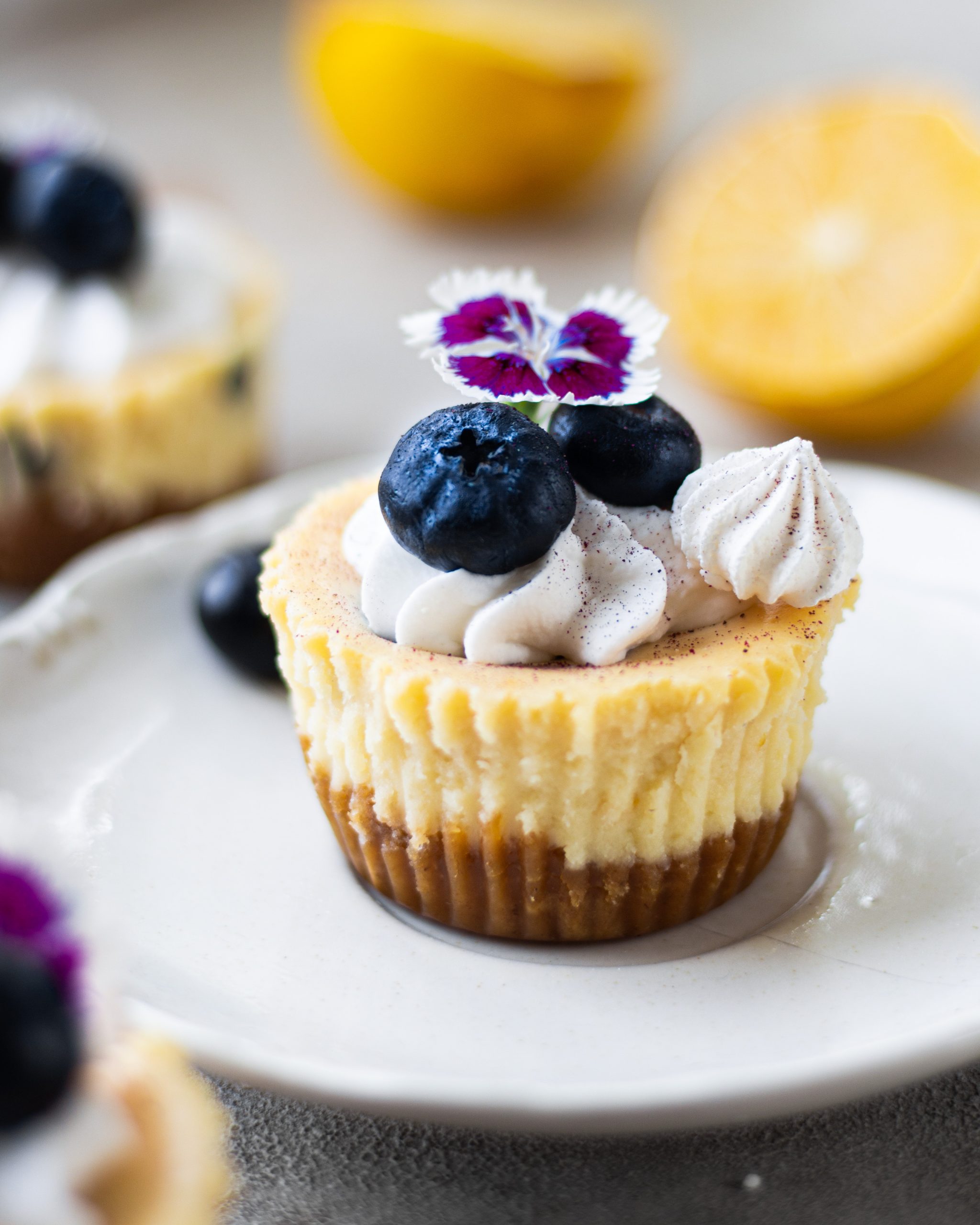 Blueberry baked cheesecake recipe