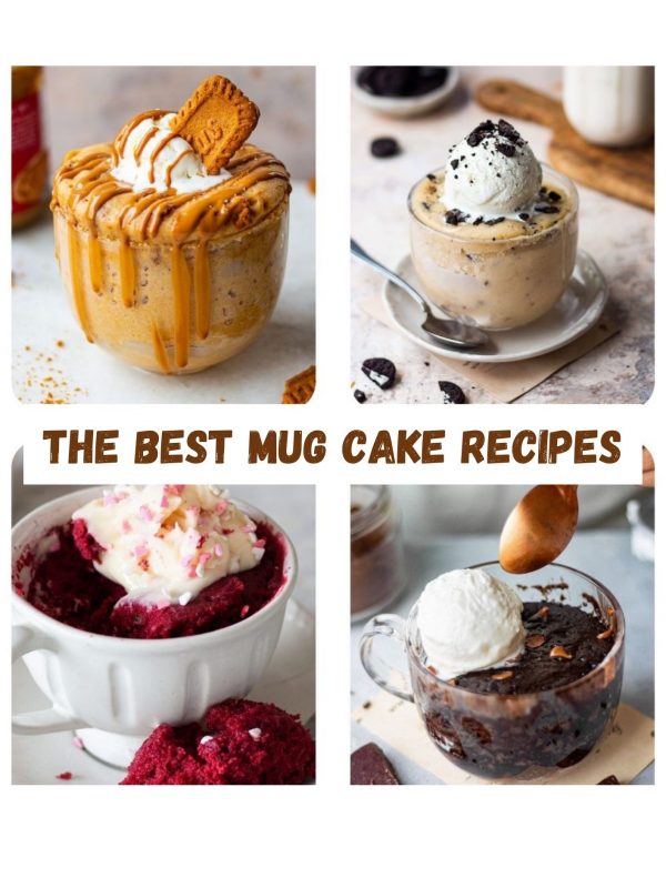 MUG CAKE RECIPES