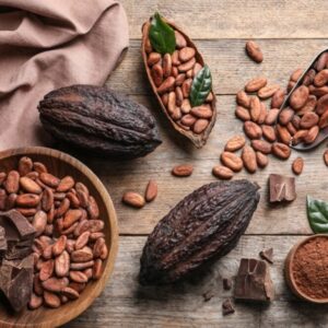 BEST CHOCOLATE BRANDS FOR HOME BAKERS (TRIED AND TESTED)