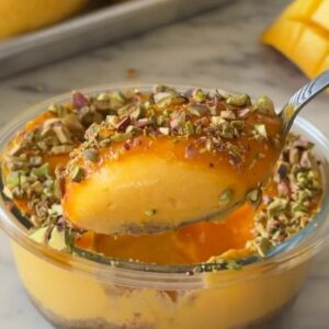 HIGH PROTEIN MANGO CHEESECAKE